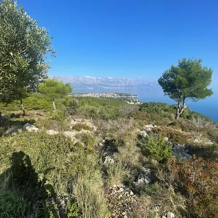 Appartement 7th Heaven *