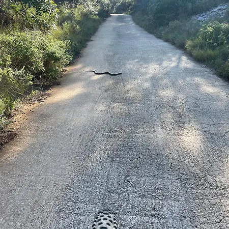 Apartament 7Th Heaven Apartment Selca (Brac)