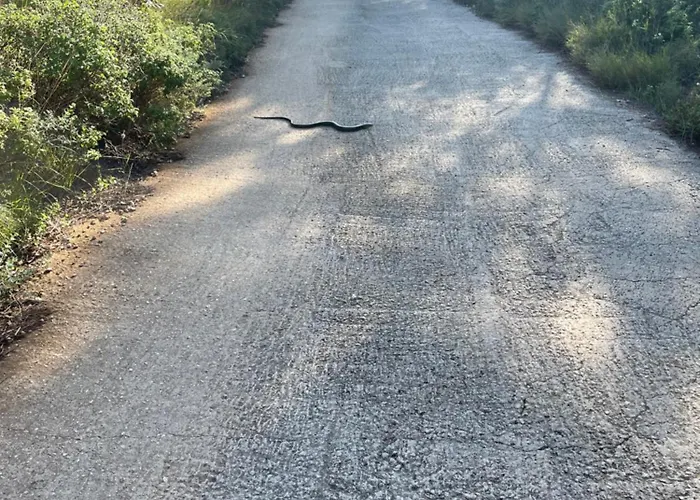 Lägenhet 7th Heaven Selca (Brac)